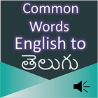Common Words English to Telugu 아이콘