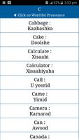 Common Words English to Somali скриншот 3