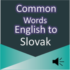 Common Words English to Slovak icône