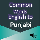 Common Word English to Punjabi APK