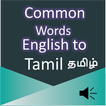 Common Words English to Tamil