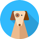 Adiestramiento para Perros APK