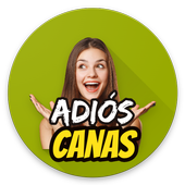 como eliminar las canas definitivamente como eliminar las canas definitivamente