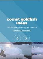 Poster comet goldfish ideas