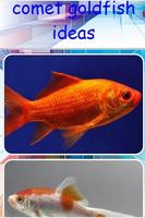 1 Schermata comet goldfish ideas