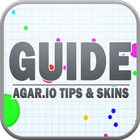 Guide for Agar.io Tips & Skins icône