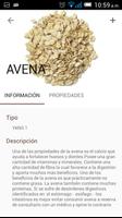 Comida Yin-Yang screenshot 3