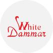 White Dammar