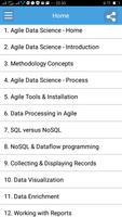 Learn Agile Data Science Full постер