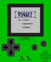 VSnake Poster