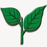 AIADMK Manifesto 2016 in AR 02