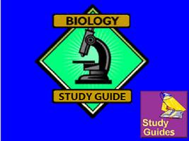 Biology Study Guide Affiche