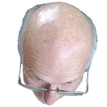 hair piece