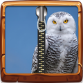 Owl Zipper Lock Screen