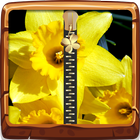 Daffodils Zipper Lock Screen icône