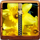 Daffodils Zipper Lock Screen APK