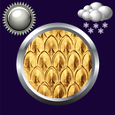 金色时钟天气部件 APK