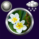 花天气时钟部件 APK