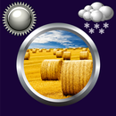 干草捆时钟天气部件 APK