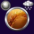 麦子时钟天气部件 APK