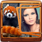 Animals Photo Frames icon