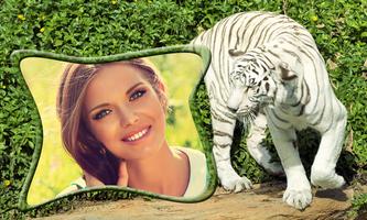 Animals Photo Frames-poster