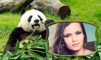 برنامه‌نما Animals Photo Frames عکس از صفحه