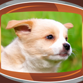 Puppies Live Wallpapers