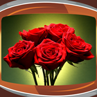 Roses Live Wallpapers icon