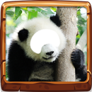 Animal foto montaje APK