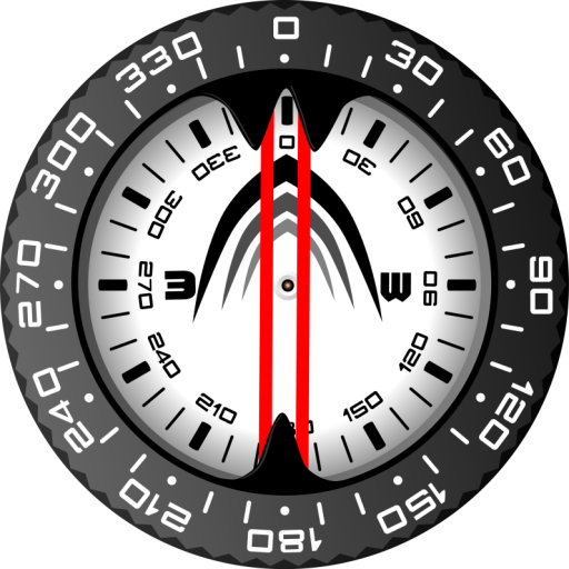 Navigation Compass
