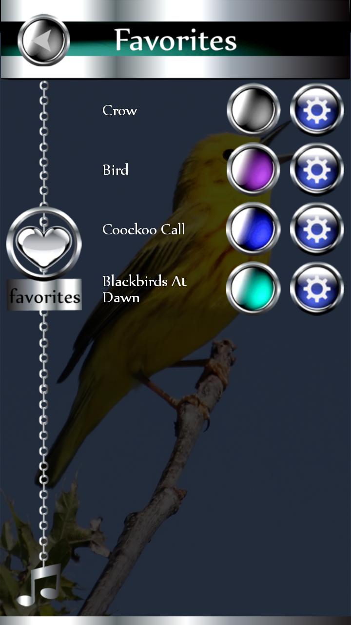 Рингтон bird. Скрин с экрана птичка. Игра где мелодия и птица. Программа для скриншотов птичка. Программа рингтонов птички на зеленом фоне.