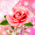 Adesivos de rosas