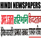 Hindi Newspapers icône
