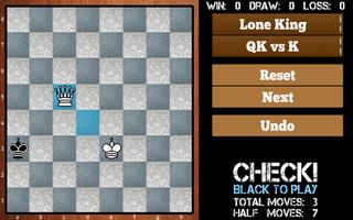 Chess Endgames Affiche