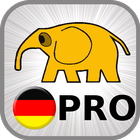 Learn German Basics PRO آئیکن