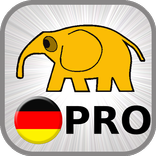 Learn German Basics PRO