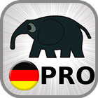 Verben - Trainer PRO icon