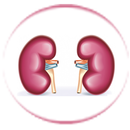 Kidney Diseases in Telugu APK