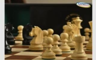 Learn Chess Game in Telugu скриншот 2