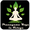 Pranayama Yoga in Telugu