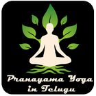 Pranayama Yoga in Telugu 圖標