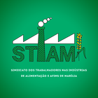 STIAM 图标