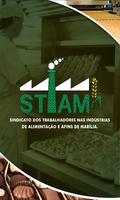 STIAM poster