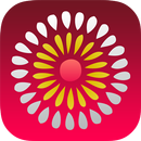 China-LAC 2015 APK