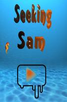 Seeking Sam poster