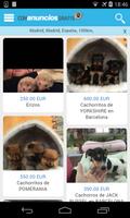 Gift pets and animals 포스터