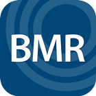 BMR Systems icône