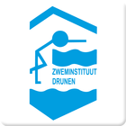 Zweminstituut ikona