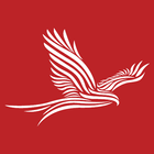 Red Kite ikon
